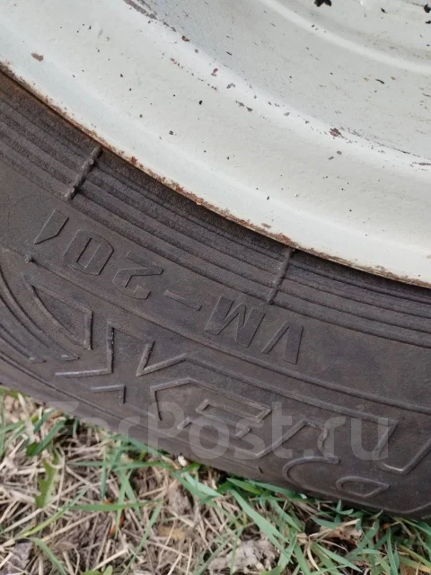 TyRex. �����������, 2022 ���, ����� ����
