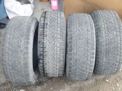 Bridgestone Blizzak DM-Z2. ������, ��� �����, 2010 ���, �/�, ����� 20 % ����