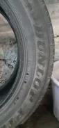 Dunlop. ������, 2018 ���, �/�, ����� 40 % ����