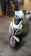Irbis Centrino. 150����. ��., ��������, ��� ���, � �������� ����