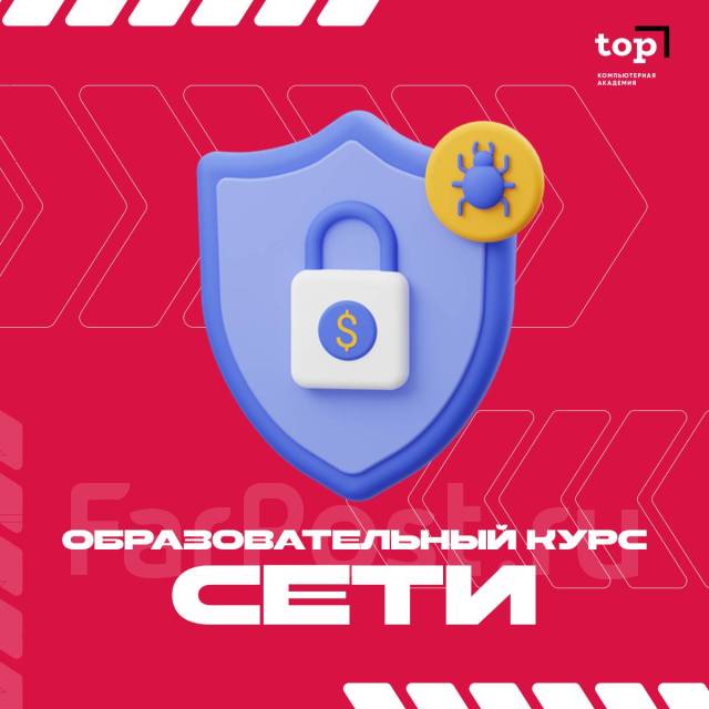 Профессиональное компьютерное образование для взрослых в Академии ТОП ...