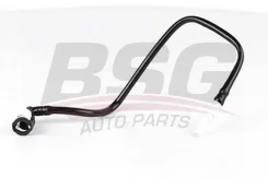 ������ ��������� Ford Focus 1.6 98-04 BSG30725073 BSG30725073 ����