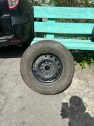 Alba. x14", �� 66,1���. ����