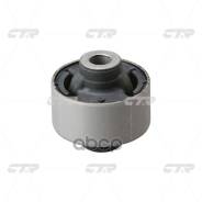    |  / | CTR . GV0241 / Cvho-10 GV0241 