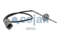 ������ ����������� �. �.! EURO-5 MAN Cojali ���. 2260399 2260399 ����