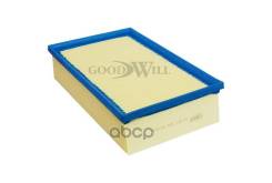   Goodwill . AG437 AG437 
