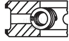 ������ ��������� ��� D12A/B/C/D Euro2/3; (x6); Mahle/Knecht ���. 03843N0 03843N0 ����