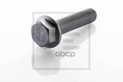    [M14x1.5x80 10,9] Mb Actros/Axor PE Automotive . 010.172-00A 01017200A 