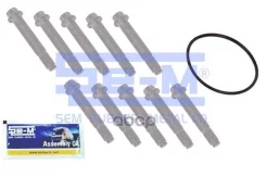 ������ ��������� ����. �����! 10 ������ M12x1.5x75, ������ ���. ������SAF 16201_SEM Se-M ���. 16201 �-� 16201 ����