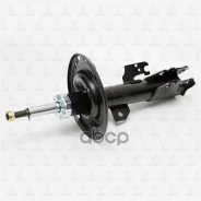 ����������� ������� | ����� ���� | Toyota Camry 06- TORR ���. DV1234R DV1234R ����
