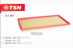 ������ ��������� TSN 91391 Filtron AP158/1 TSN 91391 TSN ���. 91391 91391 ����