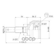   Double Force DFCV081 Double Force . DFCV081 DFCV081 