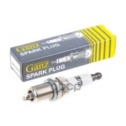 ����� ��������� (1675) AUDI/SEAT/Skoda/VW platinum GANZ ���. GIP21675 GIP21675 ����