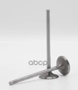 ������ 1,0-1,2-1,4 XE XEP XER NET ����� Autowelt ���. VI53006 VI53006 ����