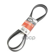 ������������ ������ 6PK2175 (8653-10455) Gates ���. 6PK2175 6PK2175 ����