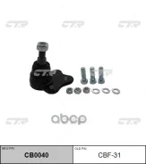 ������� ����� CTR ���. CBF31 CBF31 ����
