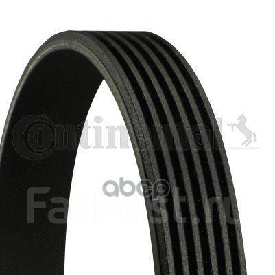   Contitech 6 Pk 1870 Continental . 6 PK 1870 6PK1870 