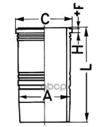 ������ +10.07! =89 389 110 +703.214E OLD d128 � ���.2x144x3.8+2x141x1.9OmnMB ��. OM421-424 Kolbenschmidt ���. 89180110 89180110 ����