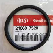      Hyundai/Kia Hyundai-KIA . 210607520 210607520 