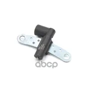 ������ ��������� ��������� Delphi ���. SS10803 SS10803 ����