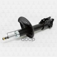 ����������� �������� ������� TORR ���. DV1118L DV1118L ����