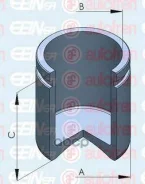������� ��������, ��������� 1 Autofren Seinsa ���. D025213 D025213 ����