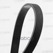 ������ ������������ ���� RU �-DE. ��72. �.01239/24 Carberry ���. 6PK1045 6PK1045 ����