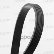 ������ ������������ Universal Carberry 6PK1103 Carberry ���. 6PK1103 6PK1103 ����