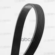 ������ ������������ Carberry ���. 6PK1250 6PK1250 ����