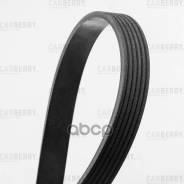    Carberry . 6PK1708 Carberry 6PK1708 6PK1708 