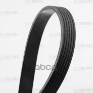 ������ ������������ Carberry ���. 6PK1715 6PK1715 ����