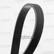 ������ ������������ Universal Carberry ���. 6PK1830 6PK1830 ����