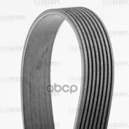 ������ ������������ Carberry ���. 8PK2092 8PK2092 ����