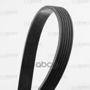 ������ ������������ Carberry ���. 6PK1210 6PK1210 ����