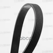 ������ ������������ Universal Carberry 6PK1693 Carberry ���. 6PK1693 6PK1693 ����