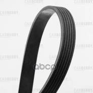    Carberry . 6PK1750 6PK1750 