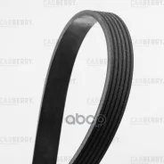 ������ ������������ Carberry ���. 6PK843 6PK843 ����