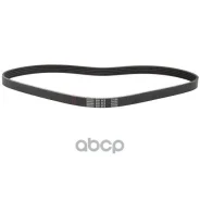 ������ ������������ Legacy, Outback 809218240 ���� RU �-SG. ��50. �.05554/23 Bando ���. 5PK885 5PK885 ����