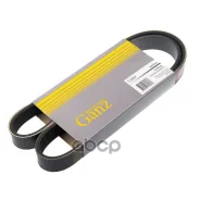 ������ ������������ 6PK1000 Citroen C4/C5 / Peugeot 206/307/407 GANZ ���. GIE37027 GIE37027 ����