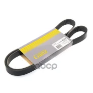 ������ ������������ 6PK1210 �������. GANZ ���. GIE37142 GIE37142 ����