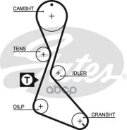 ������ ��� Renault (Z 125) 1,7,1,8 91-98 AB11045S Gates ���. 5130XS 5130XS ����