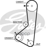 �������� ������ ������� ��� PowerGrip� Gates ���. 5254XS 5254XS ����