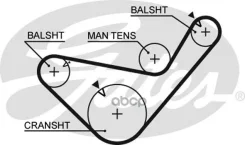������ ��� 5456 XS 083x3/4 Gates ���. 5456XS 5456XS ����
