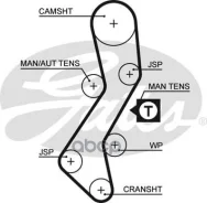 ������ ��� FORD Mondeo/Escort/Fiesta 1.8D 95- 5451XS /94688Dayco/95014 Gates ���. 5451XS 5451XS ����