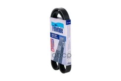 ������ ��������� Finwhale ���. BP6PK1305 BP6PK1305 ����