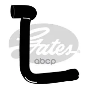 �������� ��������� FORD Focus 1.4/1.6 98 Gates ���. 3964 3964 ����