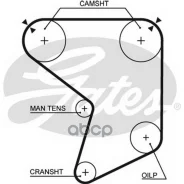 ������ ��� 5166 (13568-43010; �13568-49046; �13568-43020) Gates ���. 5166 5166 ����