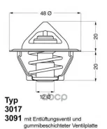 ��������� Daewoo Lanos/Nexia/Nubira/Espero 1,4-1,6 16V Wahler ���. 3017.87D2 301787D2 ����