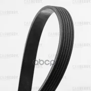 ������ ������������ Carberry ���. 6PK2228 6PK2228 ����