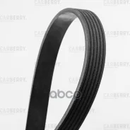 ������ ������������ Universal Carberry 6PK2315 Carberry ���. 6PK2315 6PK2315 ����